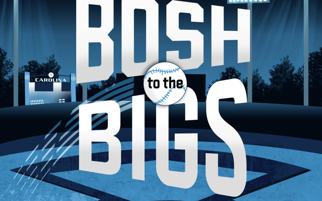 Bosh to the Bigs Branding: Case Study