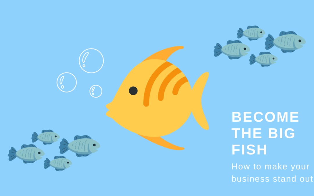 Become the Big Fish: How to Make Your Business Stand Out